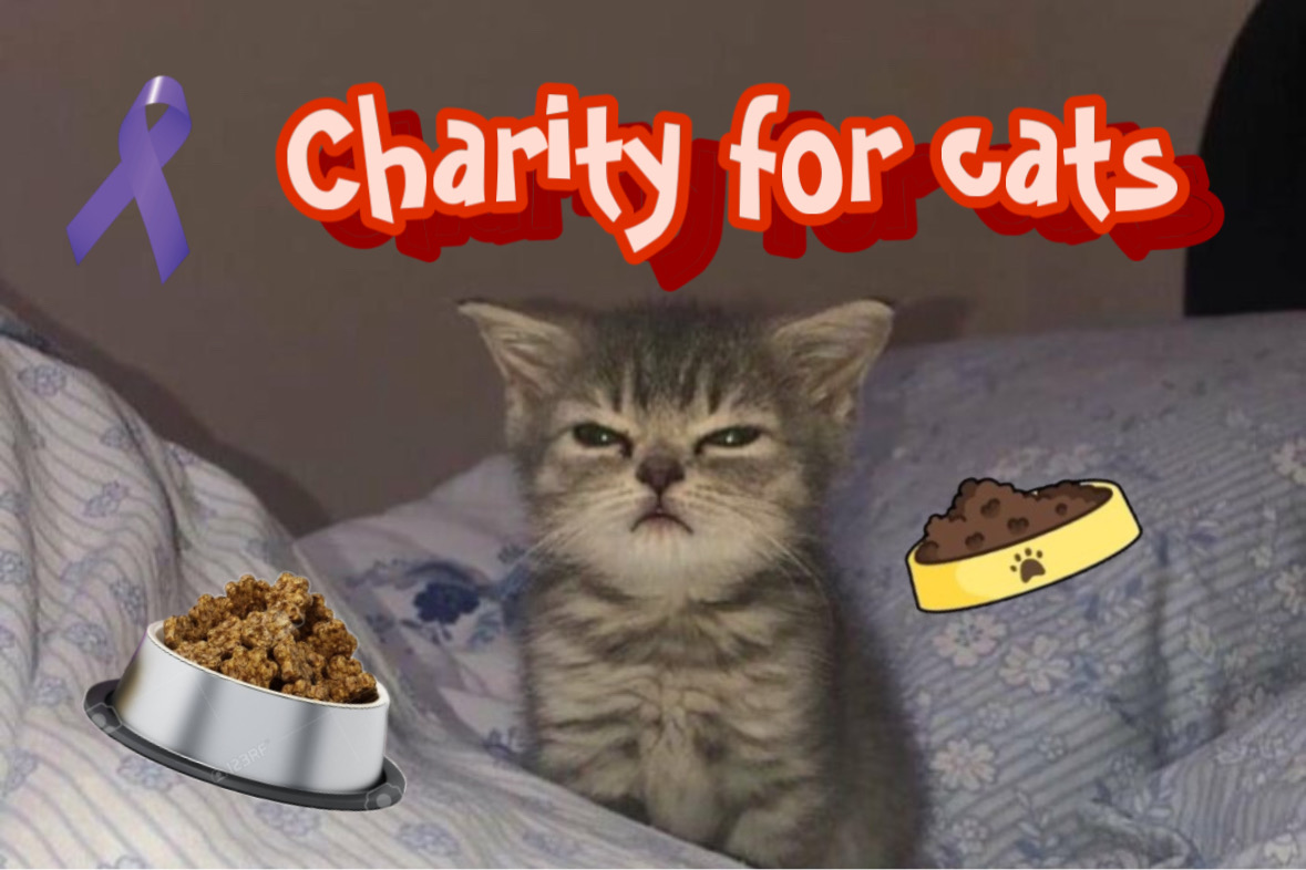 Feline Charity